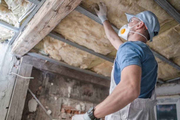 Types of Insulation We Offer in Maroa, IL
