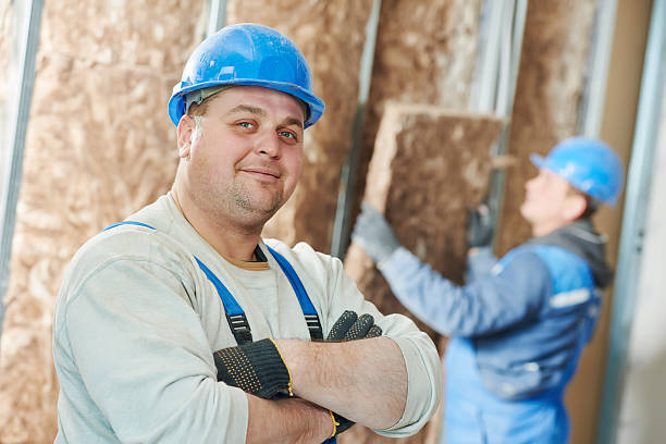 Best Energy Efficiency Insulation in Maroa, IL