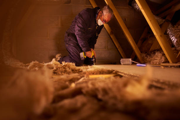 Best Spray Foam Insulation in Maroa, IL